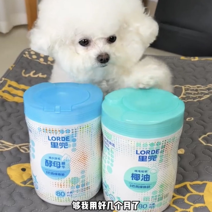 里兜宠物湿巾桶装猫狗通用免洗除臭清洁去尿味屎味去污渍保湿纸巾,淘宝优惠券,粉丝福利购,淘宝优惠卷