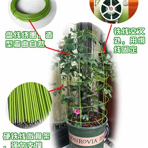 花卉造型铁丝手工diy铁线莲花架养花支撑棍月季植物绑花扶枝防倒-图1