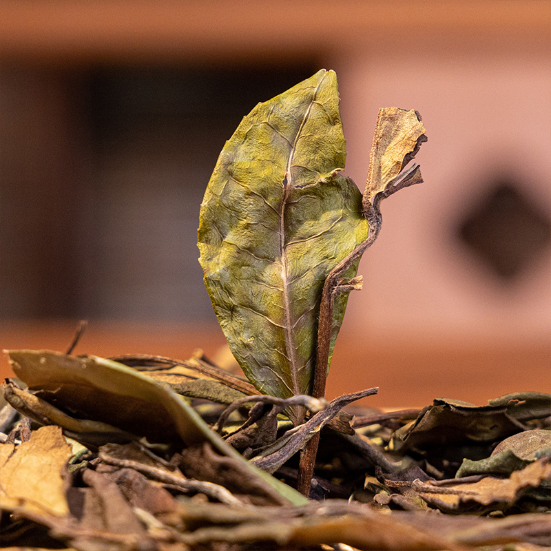 2019年梅伯珍寿眉300g福鼎白茶官方旗舰店寿眉散茶 - 图1