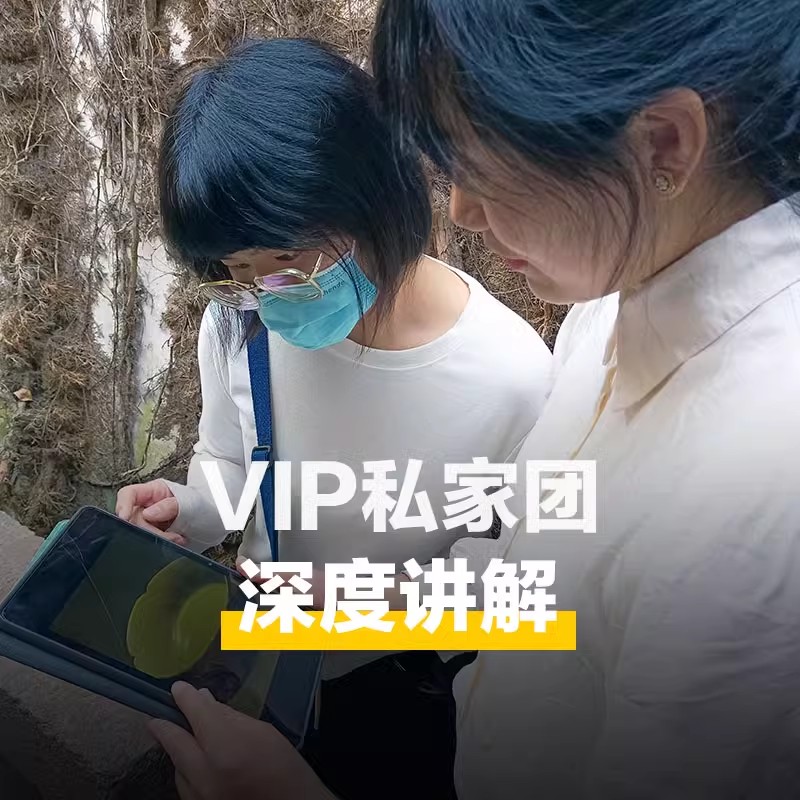 【甄选导游】大同云冈石窟导游跟团讲解金牌人工导游大咖解说3H
