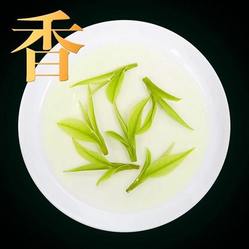 2024年新茶正宗白茶安吉高山珍稀口粮绿茶明前白茶特级茶叶礼盒装 - 图1