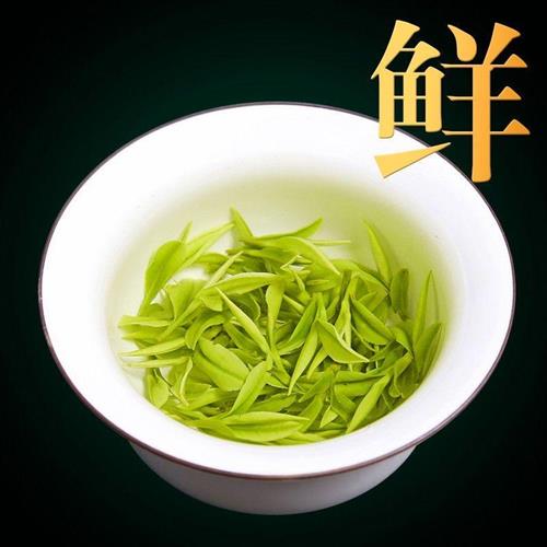 2024年新茶正宗白茶安吉高山珍稀口粮绿茶明前白茶特级茶叶礼盒装 - 图0