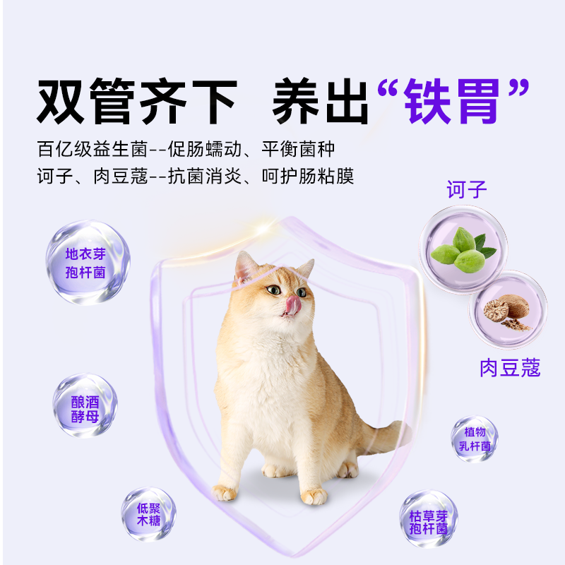 大食怪肠护力鲜肉布偶低过敏防软便老幼猫益生菌肠胃全价猫粮试吃