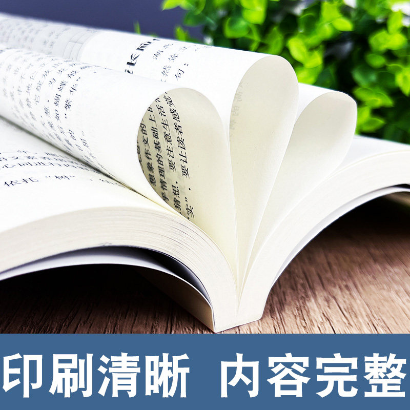 限时促销】2024中考满分作文语文英语初中生写作技巧书籍作文高分特辑素材范文精选全国中考五年真题作文人教版作文大全