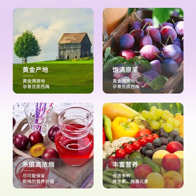 西梅荷叶汁浓缩水果茶包固体饮料冲剂粉大餐救星排便泡水喝的东西