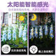Solar Hyacinth Flower Lamp Outdoor Waterproof Lawn Lamp