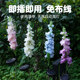 Solar Hyacinth Flower Lamp Outdoor Waterproof Lawn Lamp