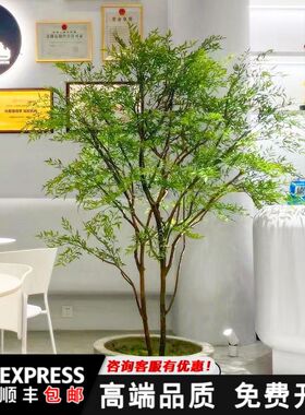 网红大型真树南天竹绿植假树室内外枯山水造景装饰景观盆栽植物
