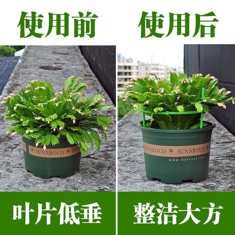 植物支撑杆园艺支架花架爬藤支架室内阳台户外绿萝蟹爪兰固定支架,淘宝优惠券,粉丝福利购,淘宝优惠卷