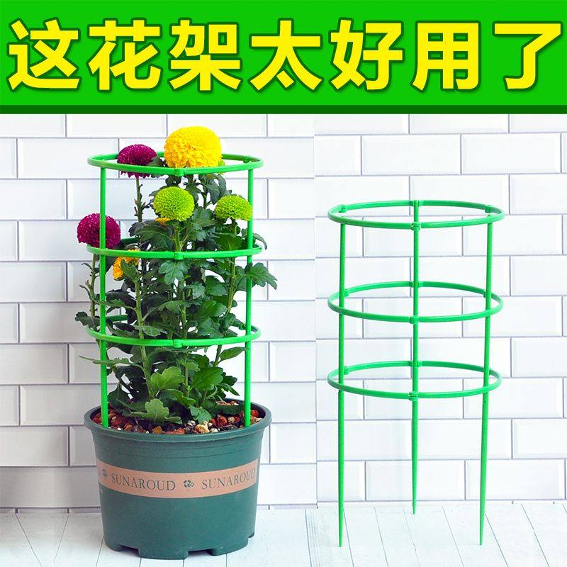 植物支撑杆园艺支架花架爬藤支架室内阳台户外绿萝蟹爪兰固定支架,淘宝优惠券,粉丝福利购,淘宝优惠卷