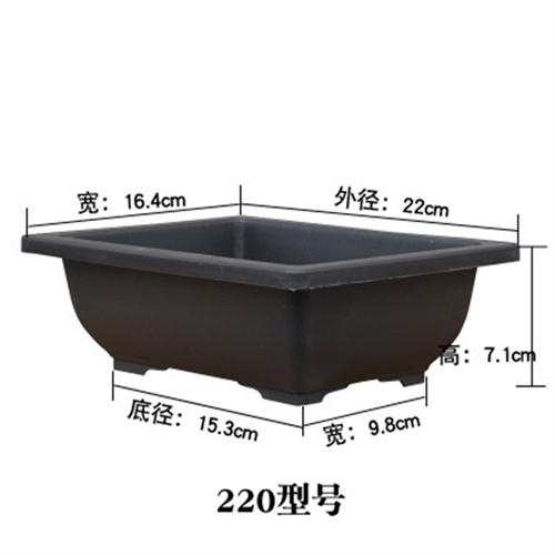 生石花花盆塑料仿紫砂多肉盆长方形加厚磨砂播种育苗盆棕色盆景盆 - 图0