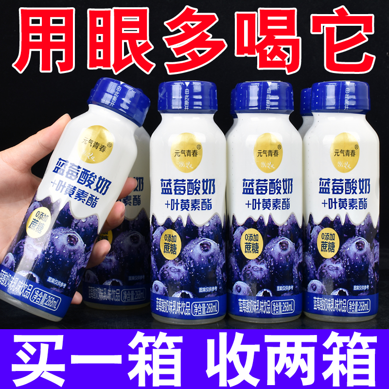 酸奶蓝莓叶黄素酯早餐奶268ml瓶装0蔗糖花青素护视力营养乳味饮品