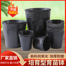 Nursery Nutrition Cup Seedling Bag Large Number Disposable Flower Pot Black Cultivation Plastic Seedling Cup Nursery Basin Nutrition Bowl