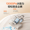 Lifetime filter double dust cup large suction mite removal device