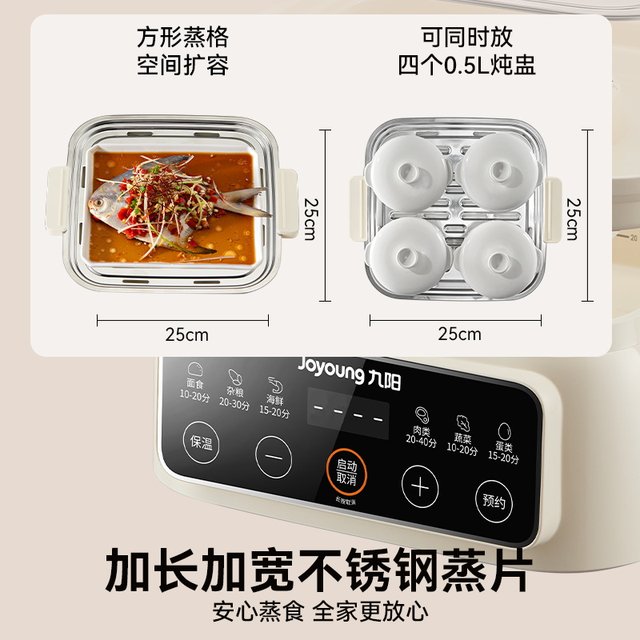 Smart electric steamer model can be made