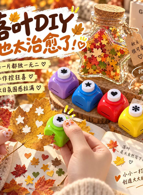 剪秋diy星星瓶树叶按压打