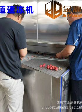 超低温饺子速冻机 大型商用食品冷冻机 不锈钢奶黄包急冻机