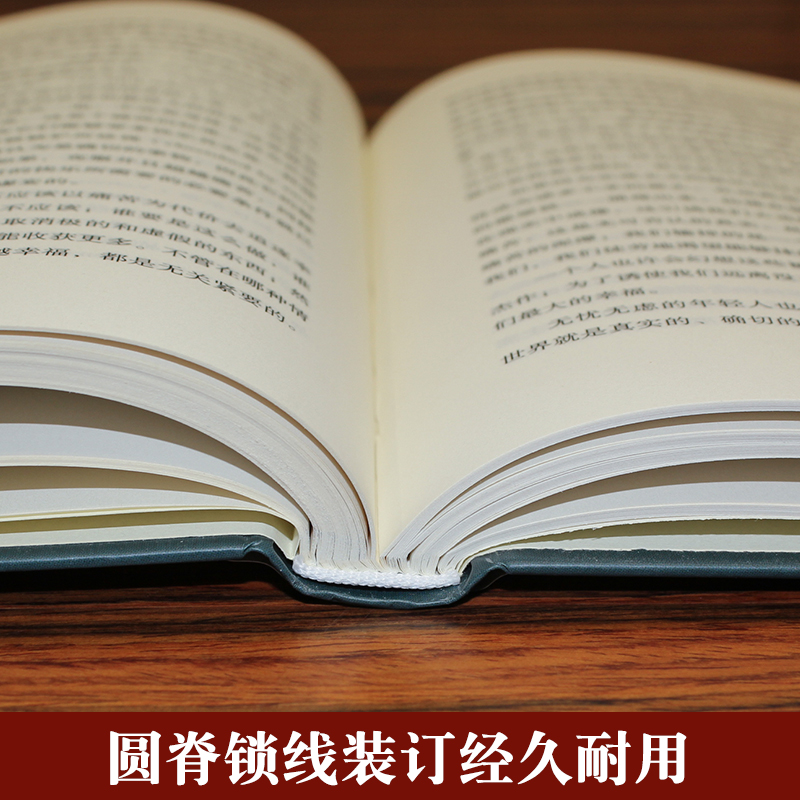 精装正版 人生的智慧 叔本华的书 西方百年经典学术系列 叔本华人生哲学智慧书美学 西方哲学史 经典名著哲学书籍