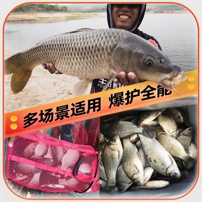 汉鼎鱼饵饵料钓鱼饵全能腥味饵野钓饲料鲤鱼鲫鱼饵料鲤鱼一包搞定,淘宝优惠券,粉丝福利购,淘宝优惠卷