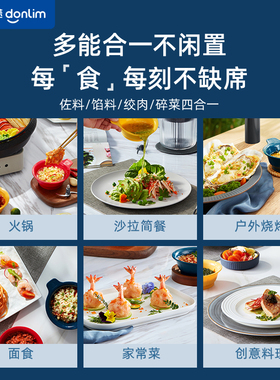 东菱百味佐料机DL-6082无线款