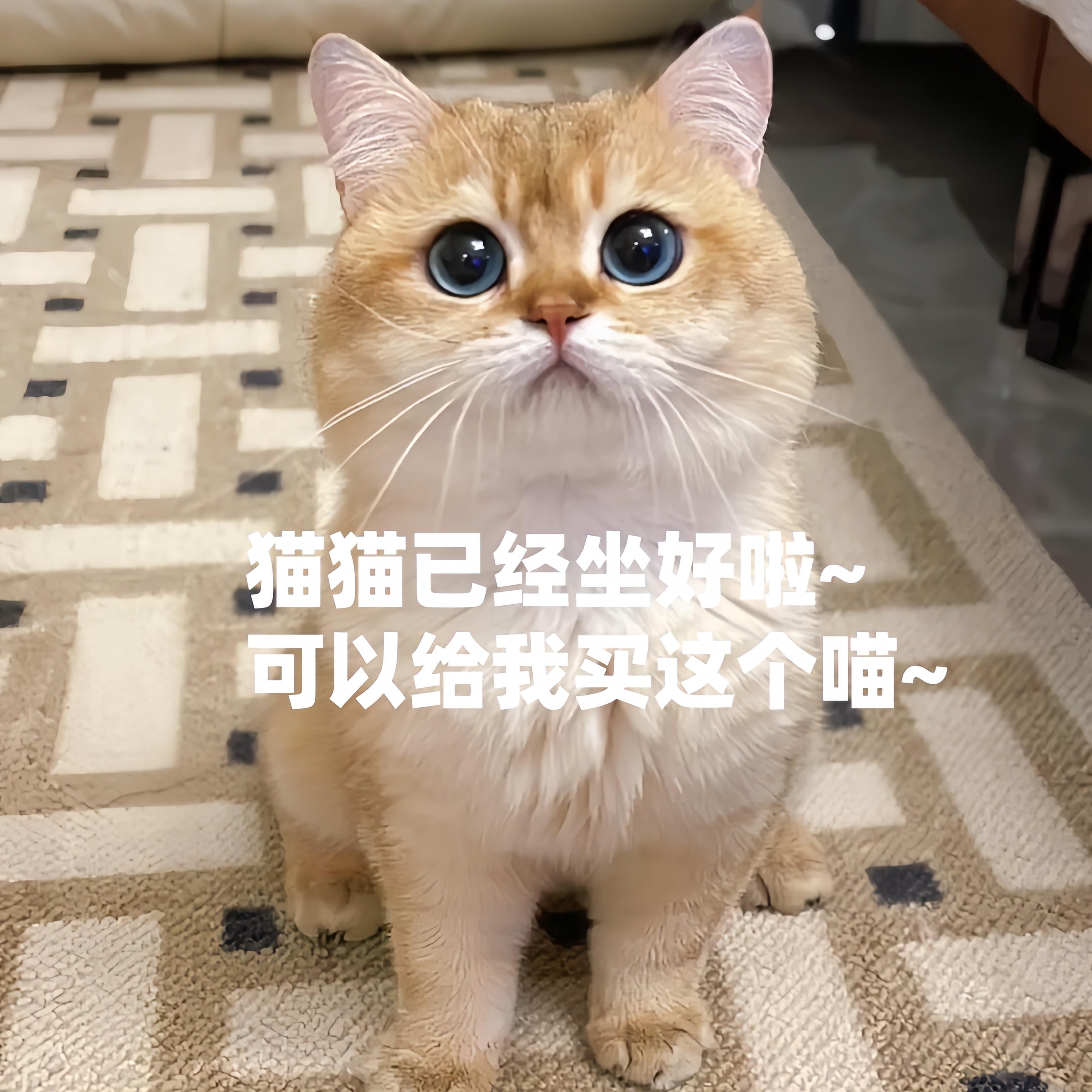 肉肉怪蒸煮鸡小胸肉35g*6宠物零食餐包猫咪鱼油狗狗高蛋白,淘宝优惠券,粉丝福利购,淘宝优惠卷