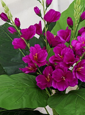 室内时尚真盆栽绿植花朵大型客厅落地盆室内盆栽家居装饰摆件