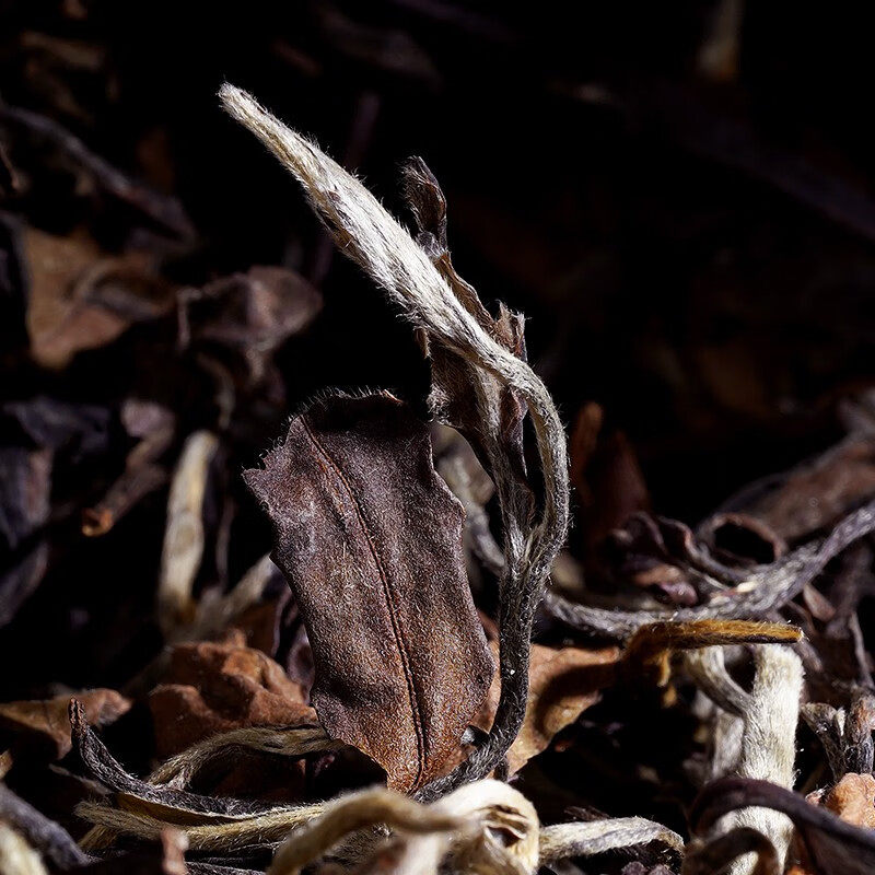 陈一凡老白茶陈香老寿眉正宗云南白茶2019年生晒古树茶叶袋装500g