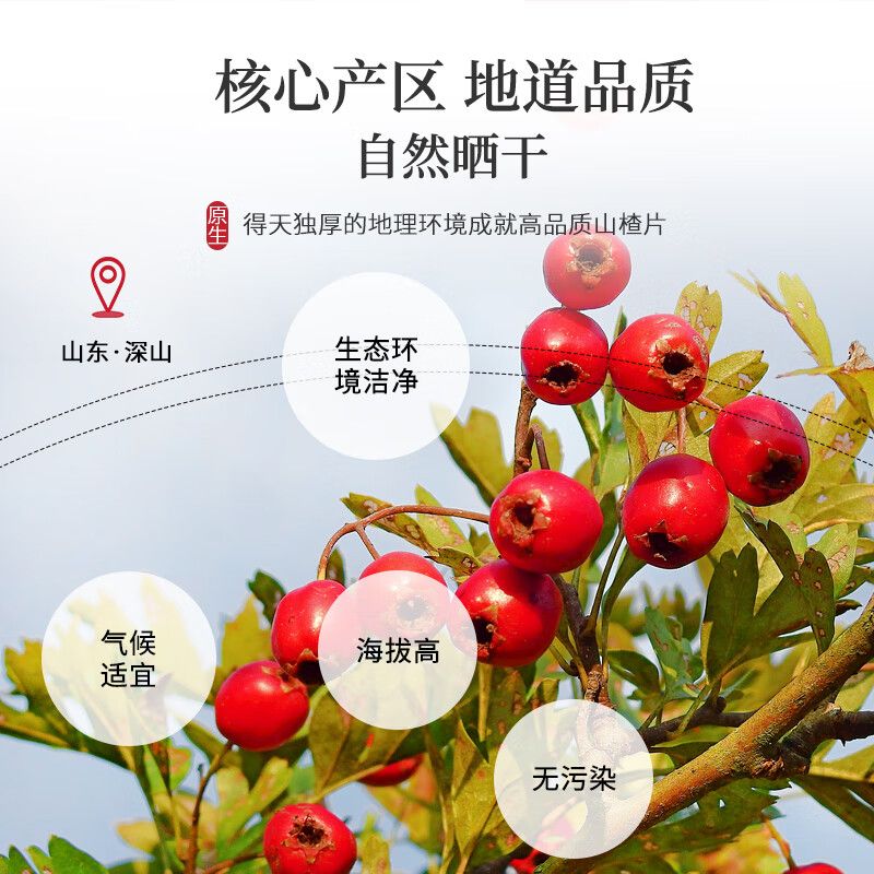 陈一凡山楂干 新货无核山楂干新鲜泡水泡茶干山楂片 100g - 图0