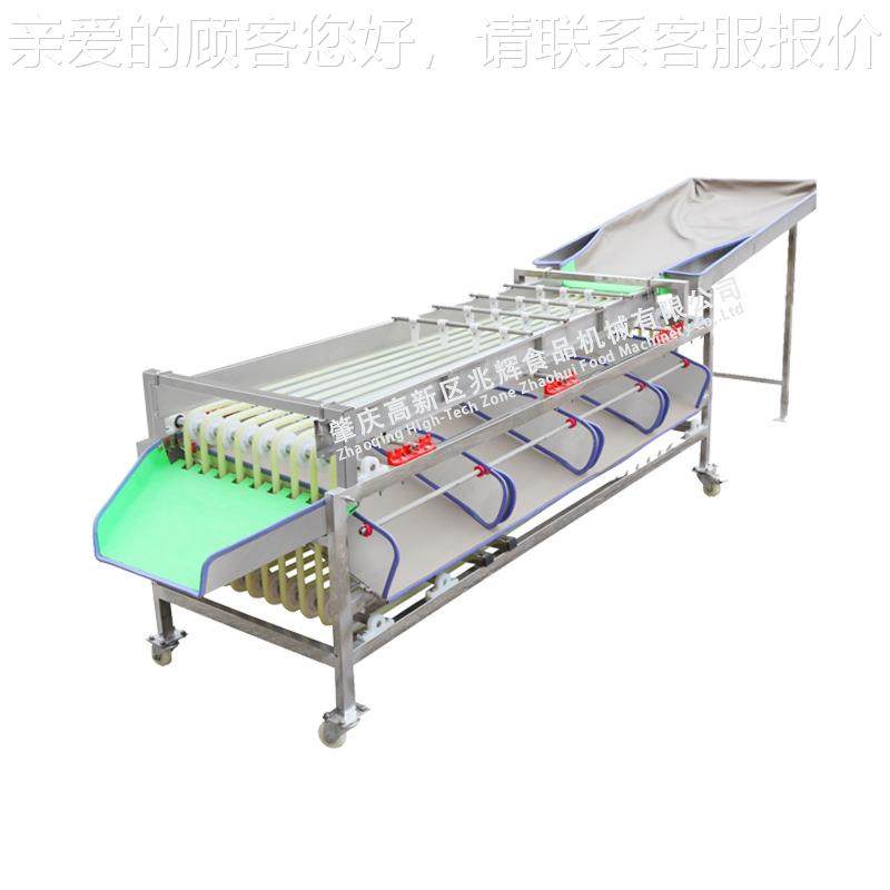 轨道分选机GTP软式包不伤可果 分级尺寸调果蔬分机选圆果分选机,淘宝优惠券,粉丝福利购,淘宝优惠卷