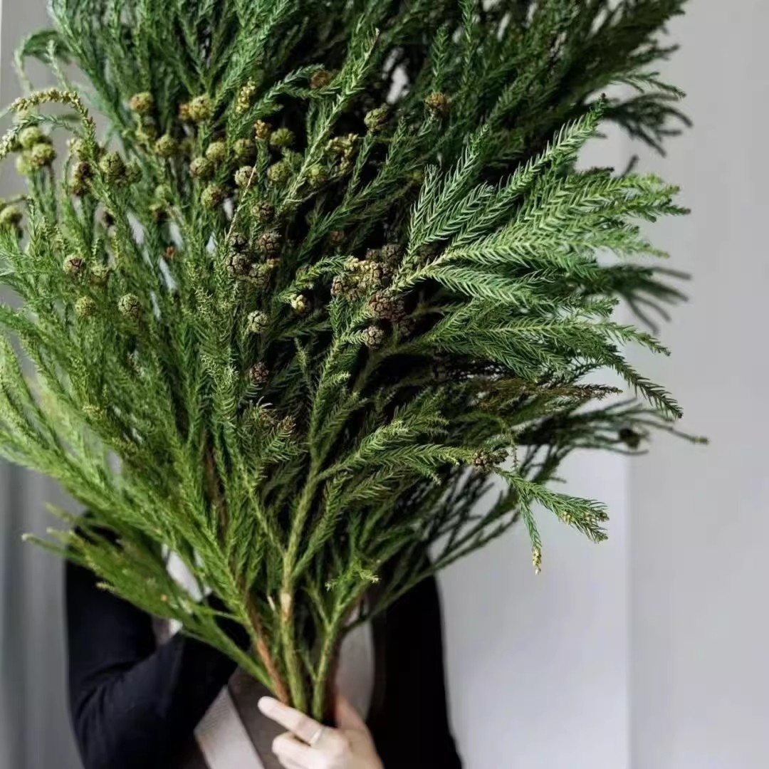 圣诞装饰品天竺少女松枝树配件手工DIY材料包场景布置绿植物摆件 - 图1