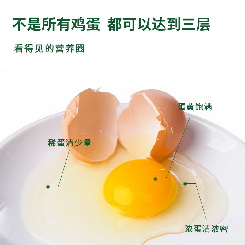 九华粮品有机富硒鸡蛋30枚净重1200g新鲜有机散养草鸡蛋土鸡蛋,淘宝优惠券,粉丝福利购,淘宝优惠卷
