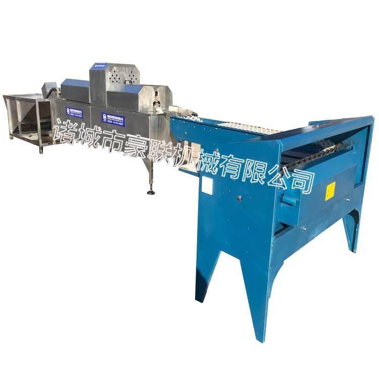 咸鸭蛋清洗机 皮蛋清洗机 全自动洗蛋机 鸭蛋清洗机,淘宝优惠券,粉丝福利购,淘宝优惠卷