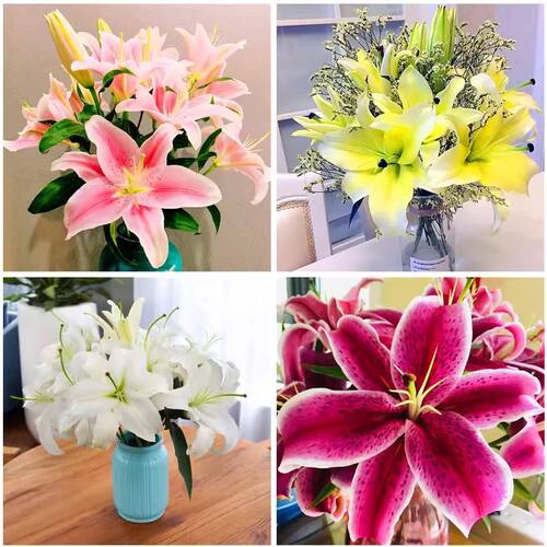 云南香水百合水养鲜花切花束直云南昆明基地速递同城客厅摆件礼物 - 图3
