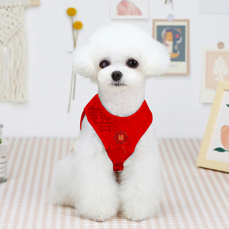 喜庆红色喜字结婚陪嫁宠物背心狗狗猫咪衣服大中小防掉毛泰迪金毛 - 图1