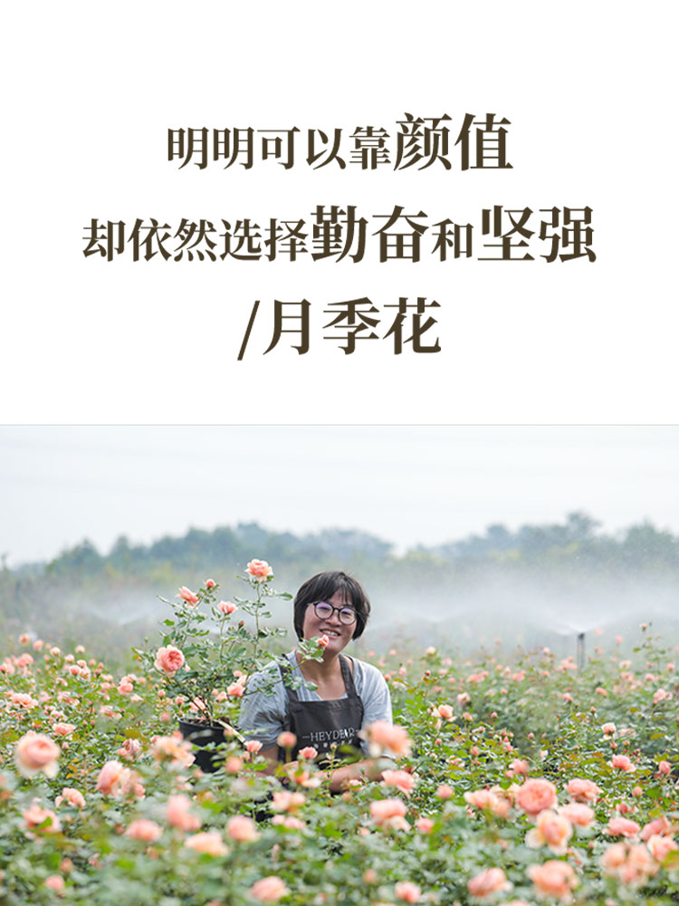 《跟着海妈学种花》海妈园艺生活分享图书 种花心得 花艺生活 感知自然和生命的过程 跟着海妈学养花 1923 中国林业出版社