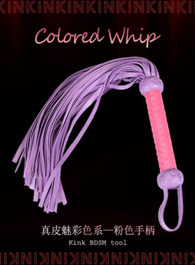 【魅彩系】皮鞭ｓｐ工具