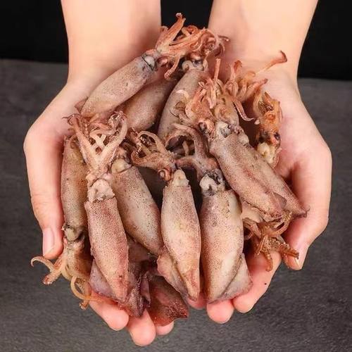 淡晒海兔干500g带籽鱿鱼仔笔管鱼新鲜海兔子墨鱼仔乌贼干海鲜干货 - 图2