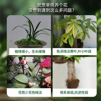 Dehe Runyuan Plant Probiotics Universal Nutrient Solution ການເຮັດສວນໃນລົ່ມ ການປູກຝັງດິນ ວັດທະນະທໍາທີ່ອຸດົມສົມບູນ ຕົ້ນໄມ້ Pothos ອຸດົມສົມບູນ ປຸ໋ຍດອກໄມ້ໄຜ່