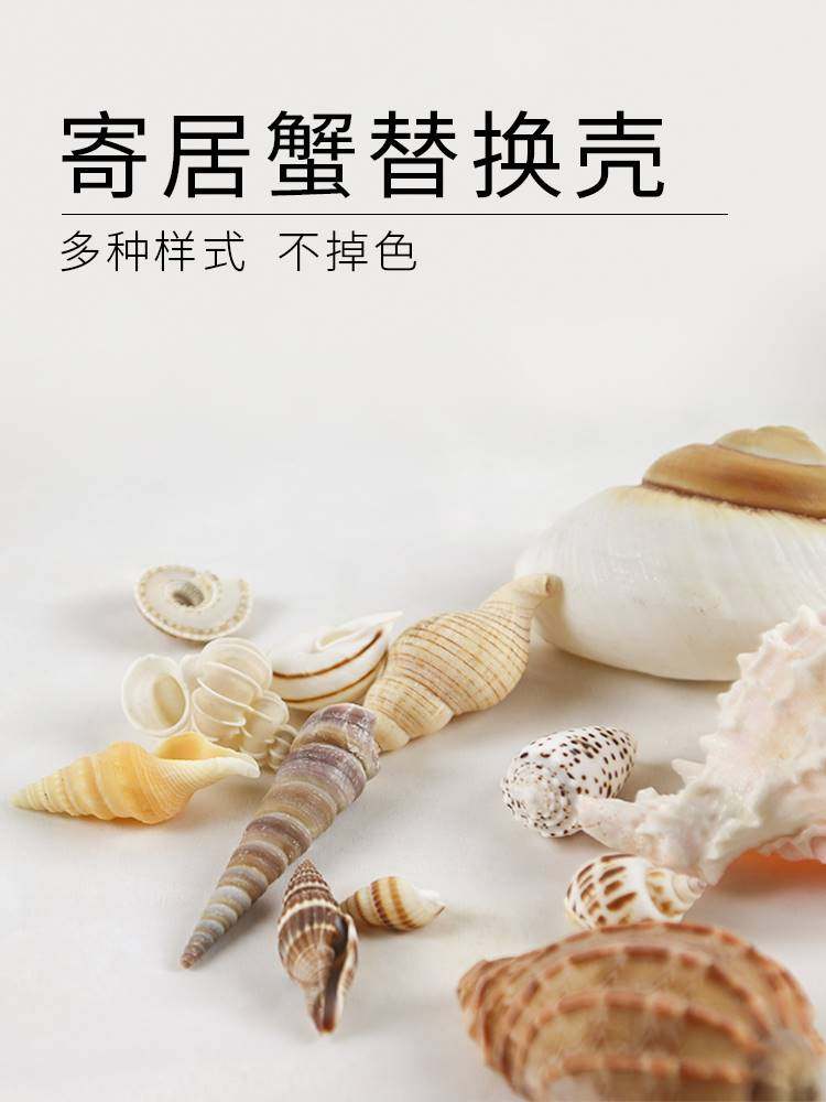 寄居蟹替换壳中小型号天然海螺贝壳卷贝鱼鱼缸造景摆件水族箱装饰,淘宝优惠券,粉丝福利购,淘宝优惠卷