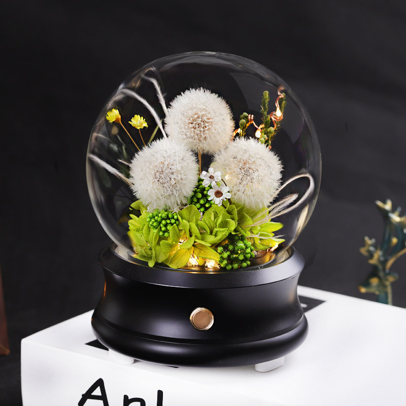 永生花蒲公英干花真花蓝牙音箱花束玻璃罩摆件送男女朋友520礼物