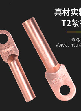 凤凰国标铜鼻子DT接线端子25堵油式10接头电线电缆紫铜单孔16平方