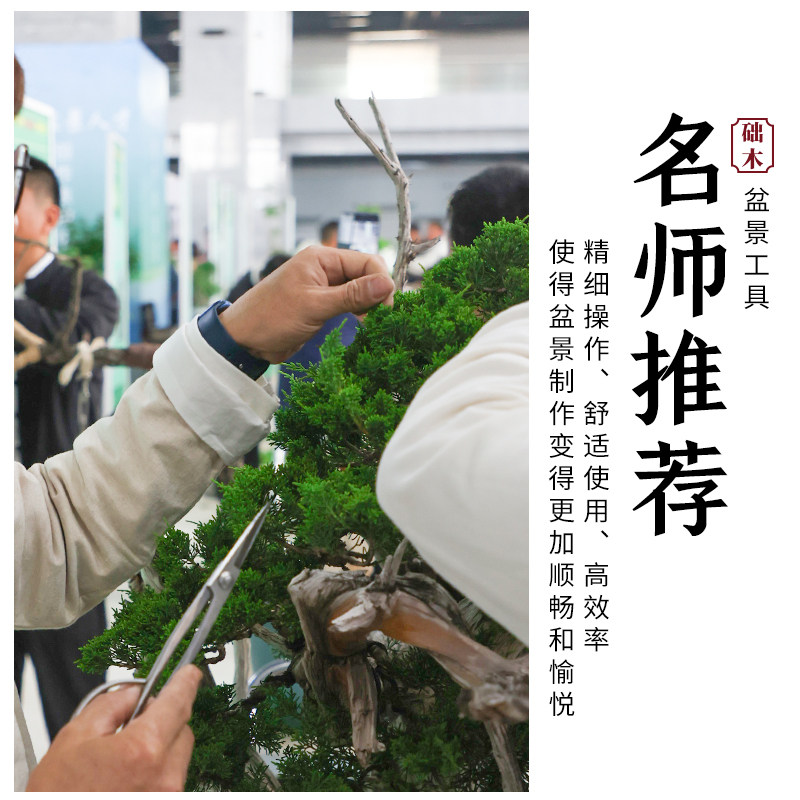 修枝剪球节剪盆景工具叶芽剪叉枝剪树瘤树节球形钳盆景造型工具剪,淘宝优惠券,粉丝福利购,淘宝优惠卷