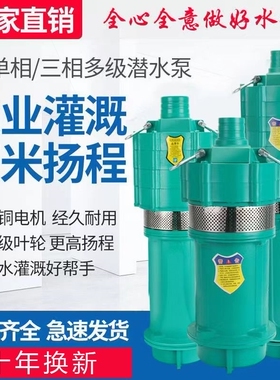 德国进口多级潜水泵家用