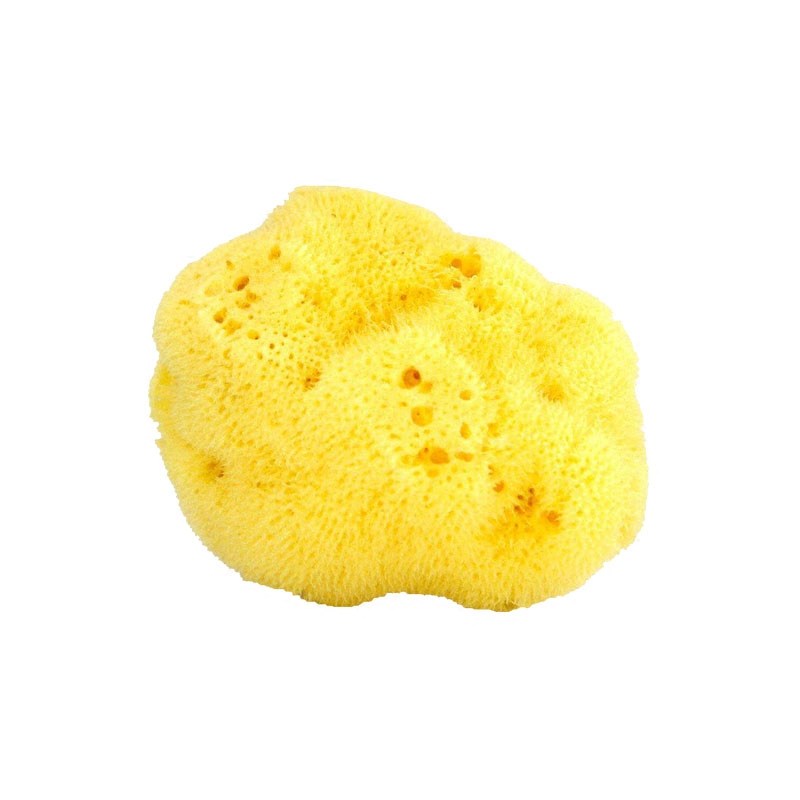 日本nusvan洗脸海绵 洁面扑 天然海绵 抗菌深层清洁海绵婴儿可用,淘宝优惠券,粉丝福利购,淘宝优惠卷