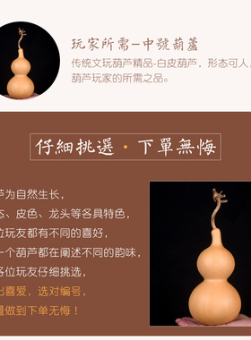 精品天然大葫芦摆件家居真葫芦挂件镇家宅特大葫芦大中号一物一图