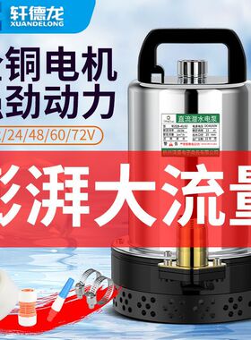 德国进口直流潜水泵12V24V48V60V72V家用电瓶车水泵灌溉抽水泵抽