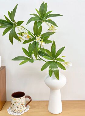 高颜值仿真绿植水石榕禅