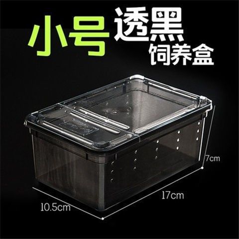 爬宠饲养盒蜗牛蜘蛛角蛙乌龟大中小号树栖躲避造景两栖爬虫饲养箱,淘宝优惠券,粉丝福利购,淘宝优惠卷