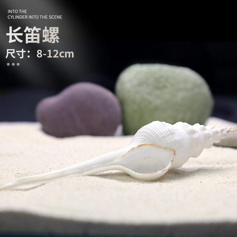 天然海螺贝壳鱼缸水族箱造景装饰大小号贝壳摆件鱼虾躲避屋繁殖窝,淘宝优惠券,粉丝福利购,淘宝优惠卷