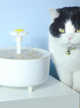 猫咪饮水机猫自动喝水用品流动水盆喷泉猫循环宠物喂水器狗狗用品